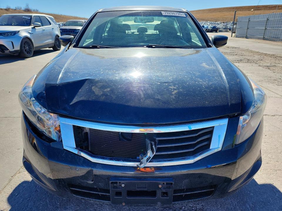 2010 Honda Accord exl