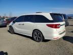 2019 Honda Odyssey Touring