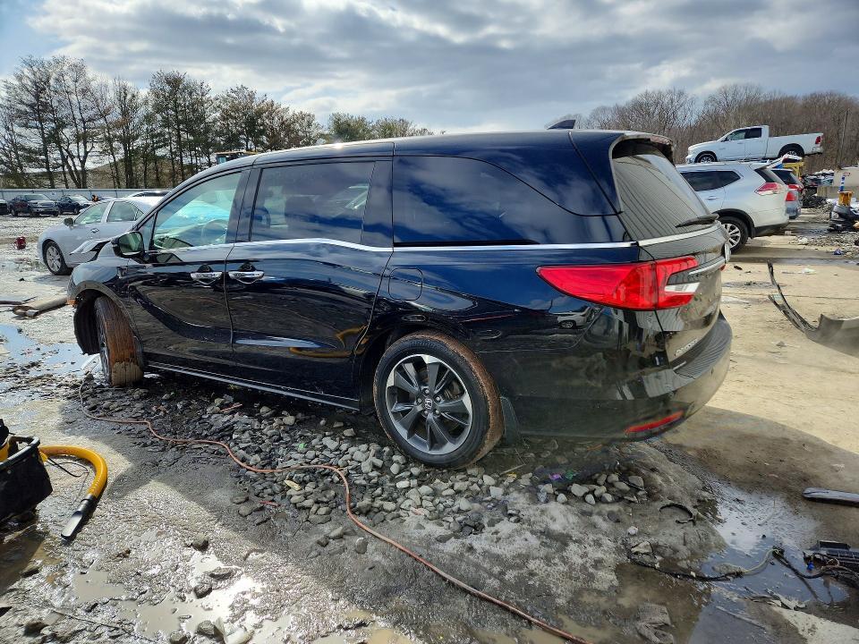 2024 Honda Odyssey Elite