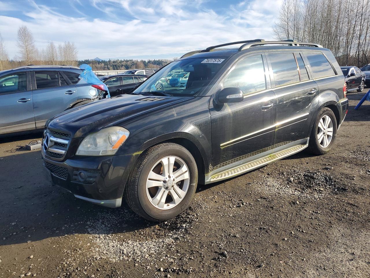2008 Mercedes-Benz Gl 450 4matic