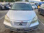 2010 Honda Odyssey exl