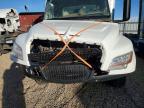 2023 International MV607 BOX Truck