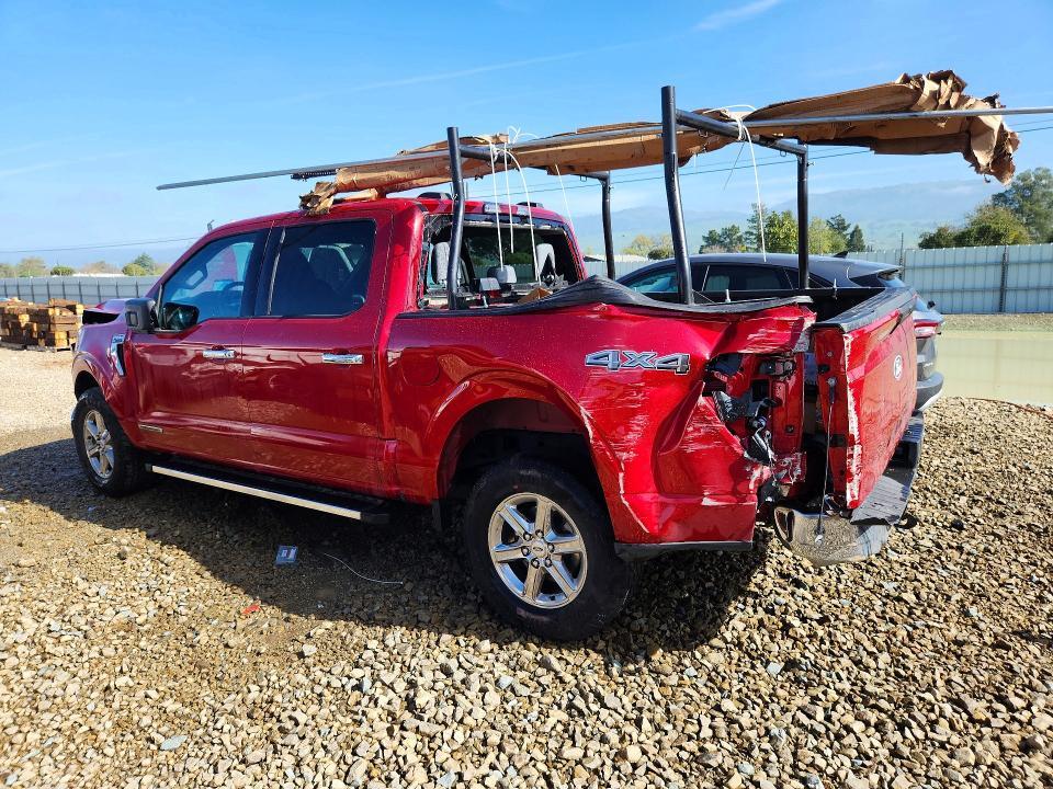 2025 Ford F150 XLT