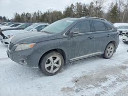 Lexus Vehiculos salvage en venta: 2010 Lexus Rx 350 Base