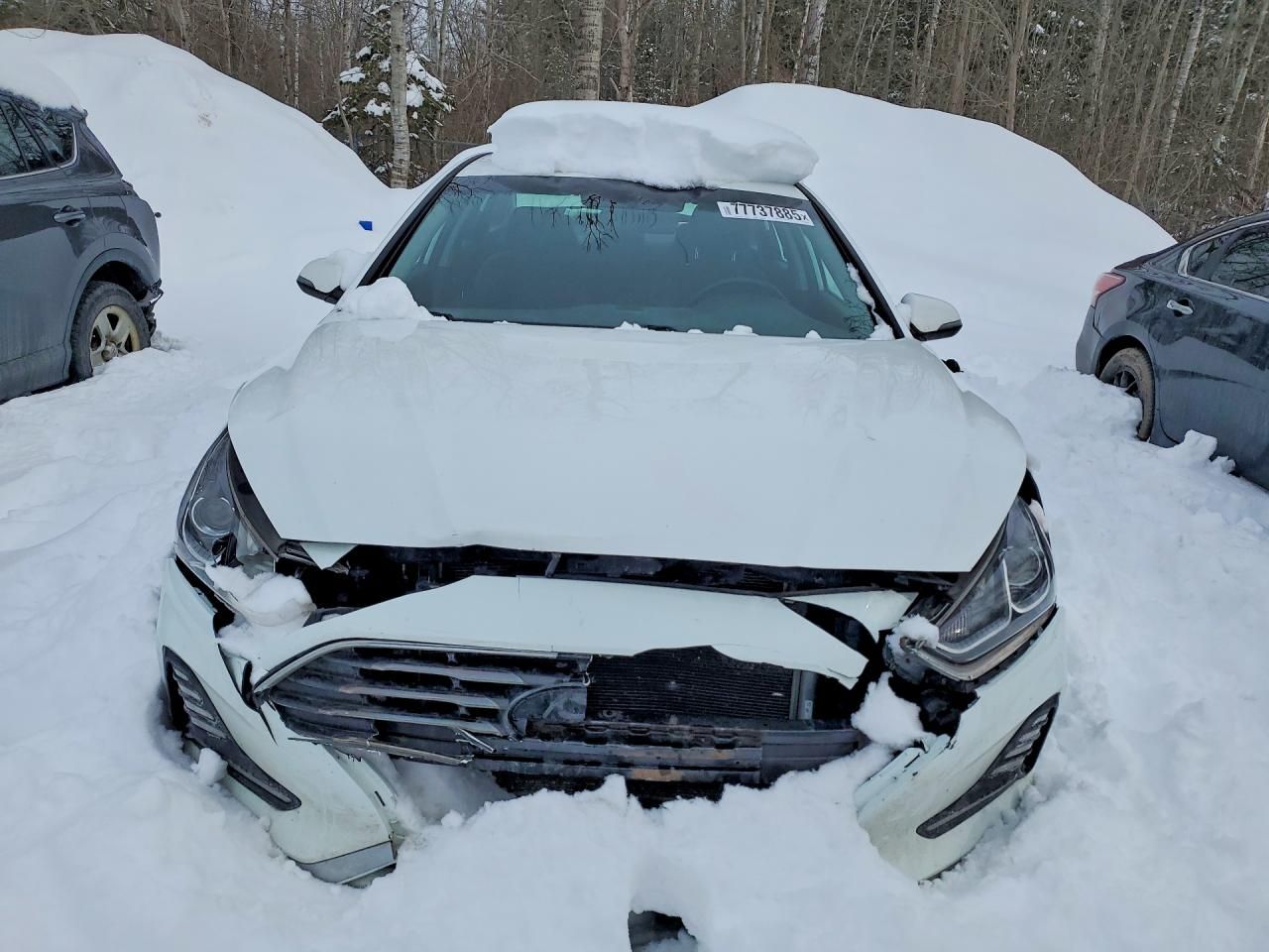 2019 Hyundai Sonata se