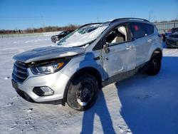 Ford Escape salvage cars for sale: 2019 Ford Escape Titanium