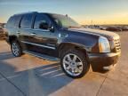 2010 Cadillac Escalade