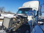 2017 Freigliner Cascadia 125