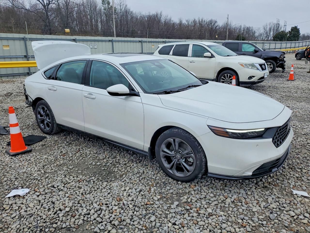 2023 Honda Accord Hybrid exl