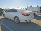2013 Lexus Es 300h