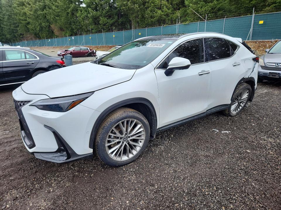 2026 Lexus Nx 350