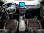 2024 Ford Escape st Line