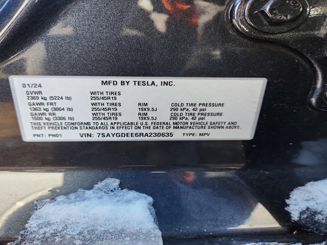 2024 Tesla Model y