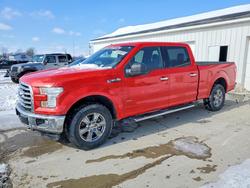 Salvage cars for sale from Copart Cicero, IN: 2017 Ford F150 Supercrew