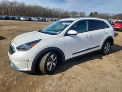 KIA Niro Vehiculos salvage en venta: 2019 KIA Niro ex Premium