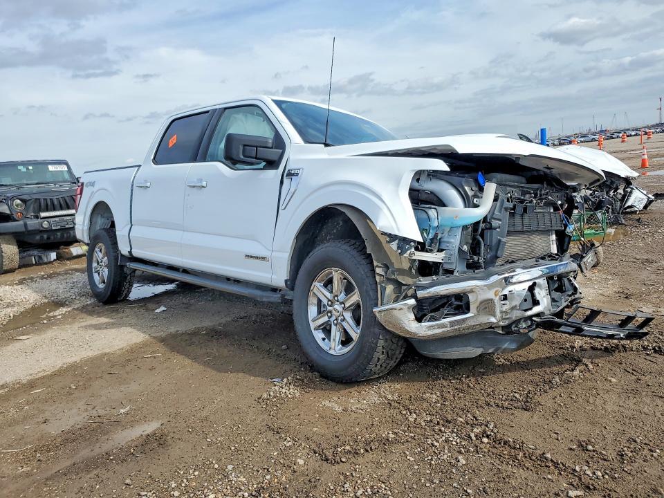2024 Ford F150 xlt