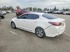 2014 KIA Optima Hybrid