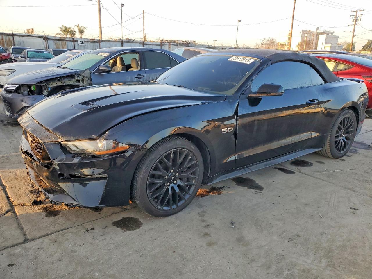 2019 Ford Mustang gt
