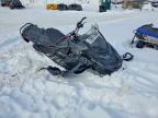 2025 Skidoo Renegade