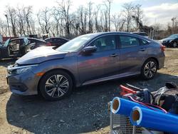 Honda Civic exl salvage cars for sale: 2017 Honda Civic exl