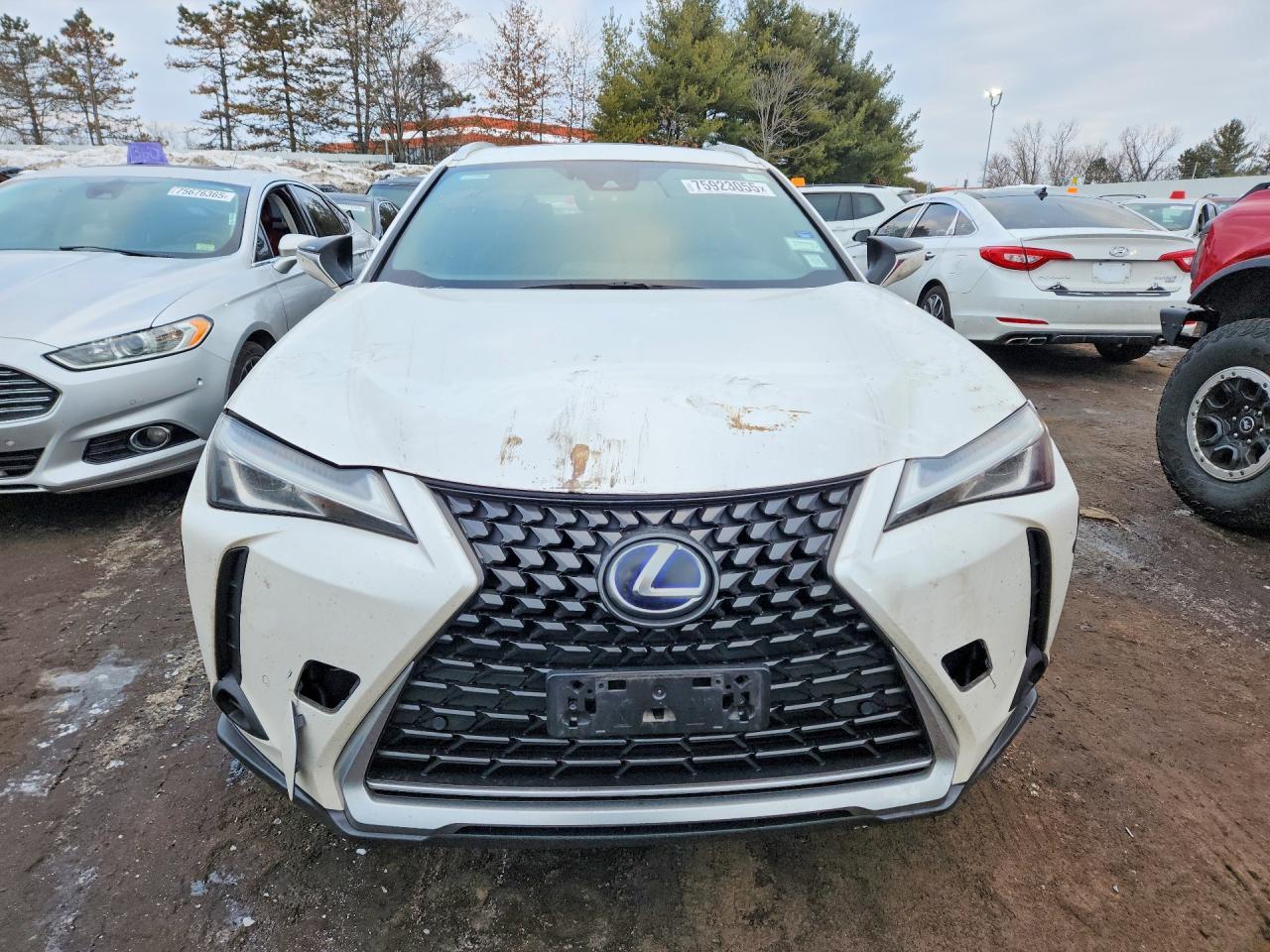 2020 Lexus Ux 250h