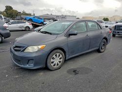 Toyota salvage cars for sale: 2013 Toyota Corolla Base