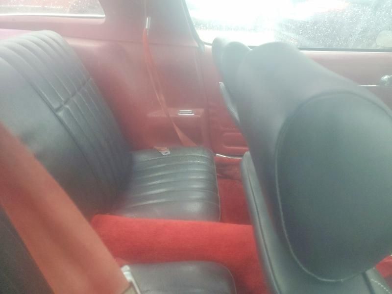 1981 Pontiac Firebird Trans am