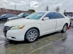 2009 Toyota Camry Hybrid