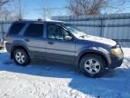 2007 Ford Escape xlt