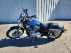 2004 Harley-Davidson XL883 C