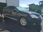 2010 Lexus Es 350 Base