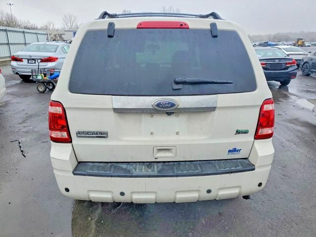 2010 Ford Escape Limited