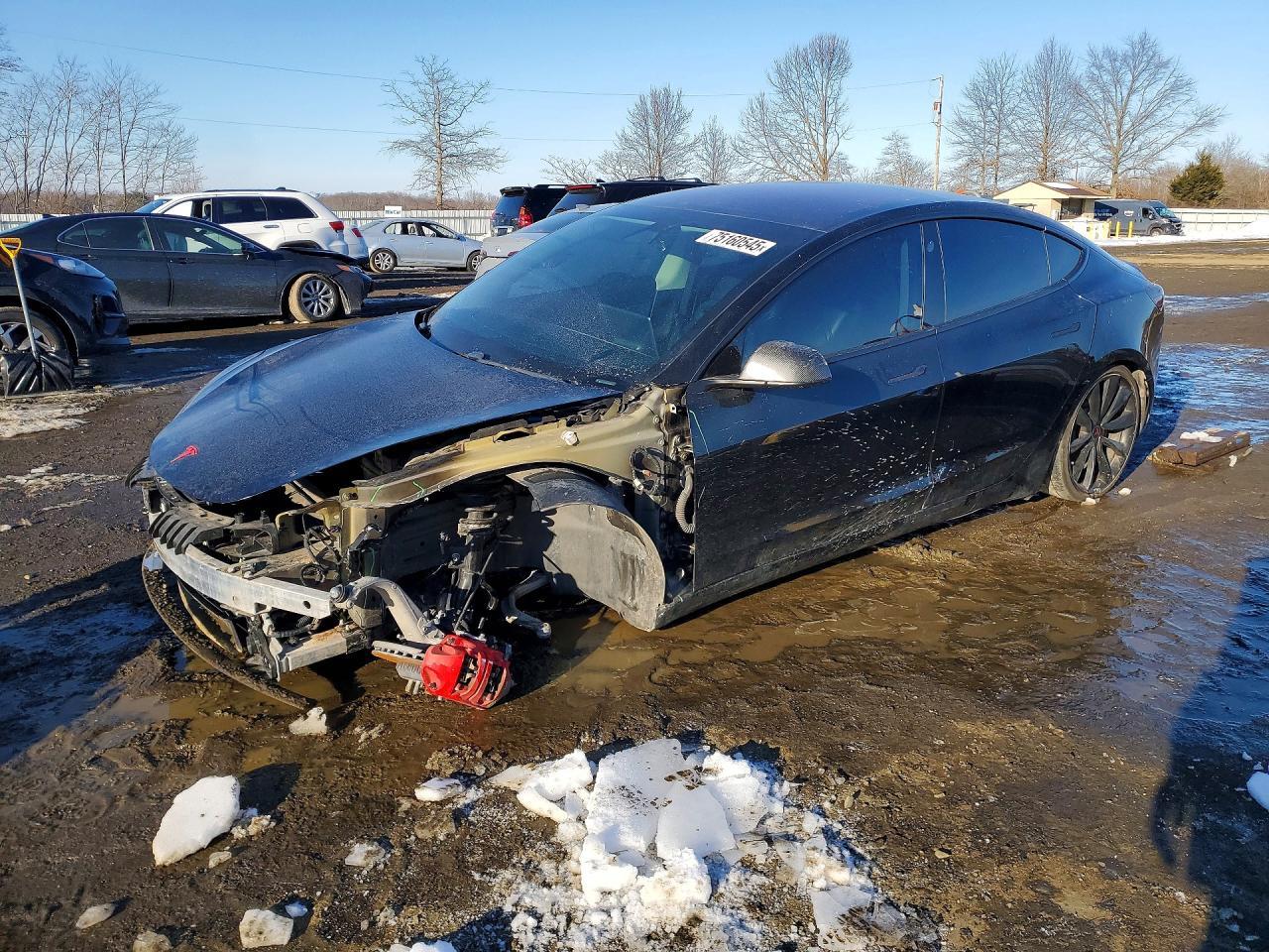 2019 Tesla Model 3