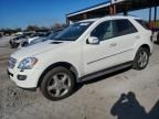 2007 Mercedes-Benz Ml 350