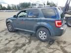 2009 Ford Escape Limited