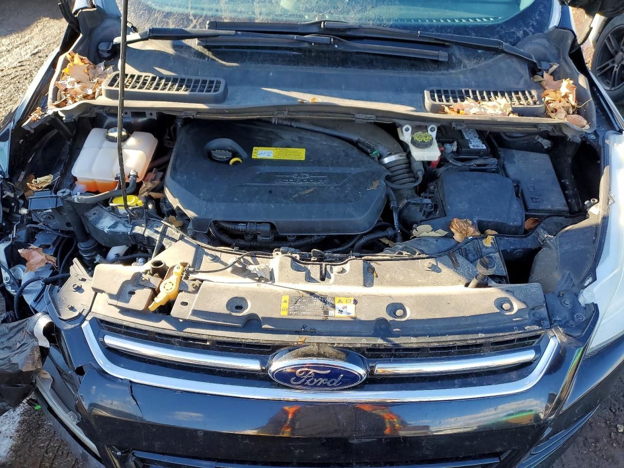 2013 Ford Escape sel