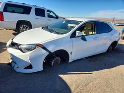 2019 Toyota Corolla l for sale in Albuquerque, NM