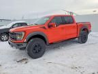 2023 Ford F150 Raptor