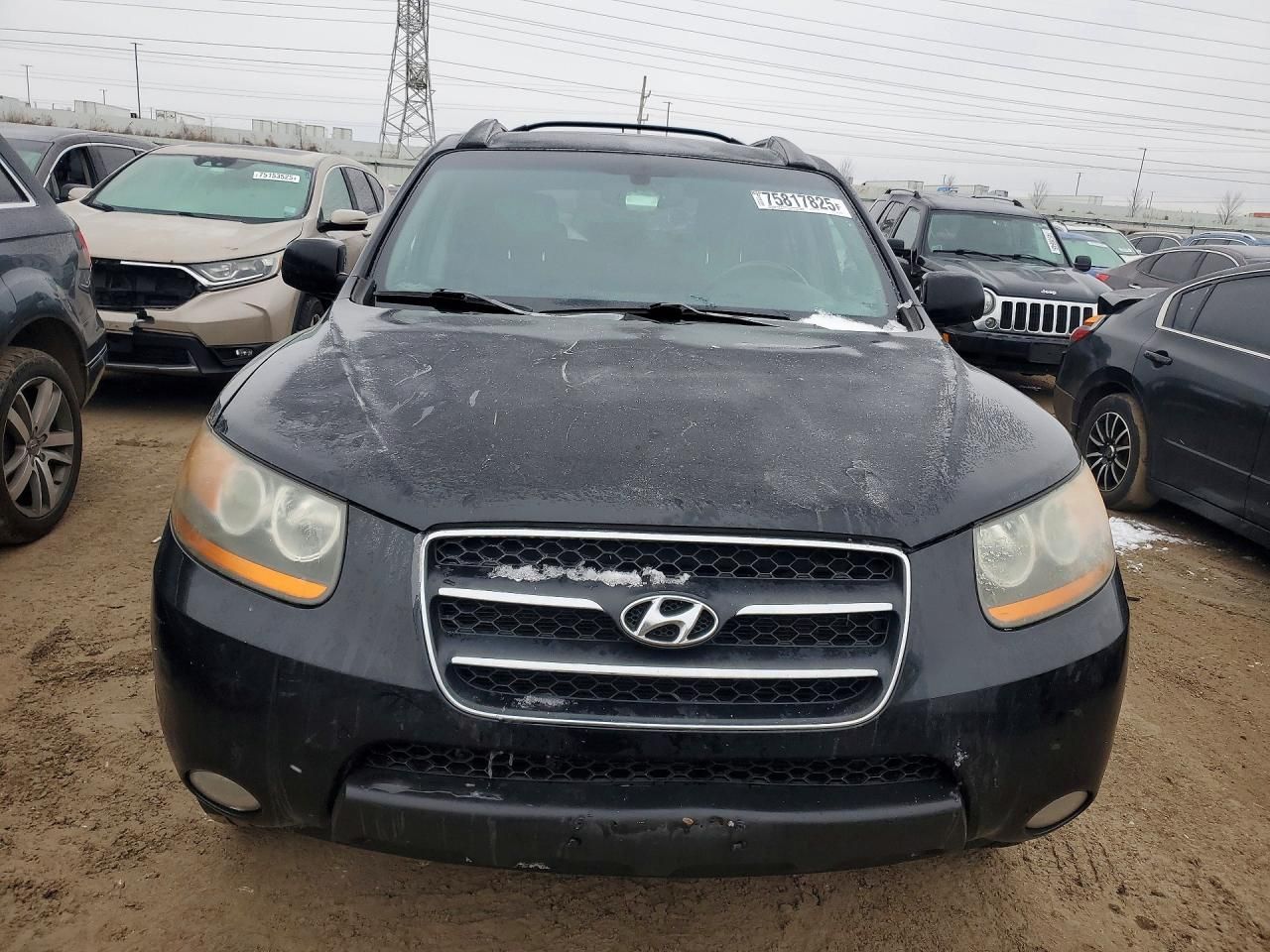 2009 Hyundai Santa fe se