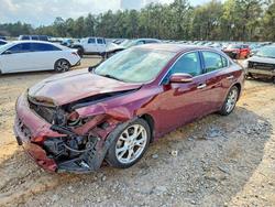 Nissan Maxima s salvage cars for sale: 2013 Nissan Maxima s