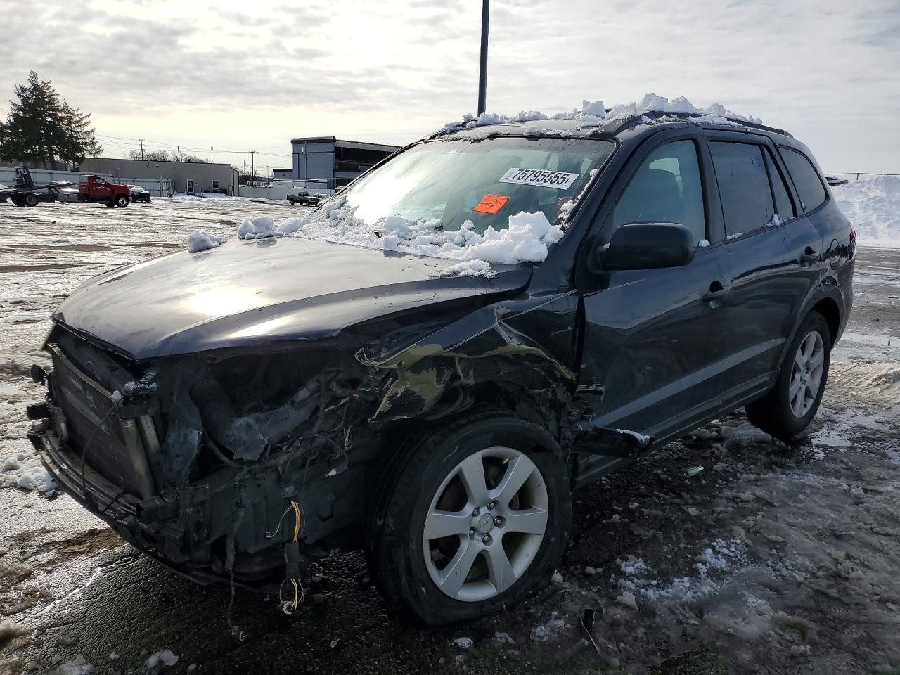 2007 Hyundai Santa fe se