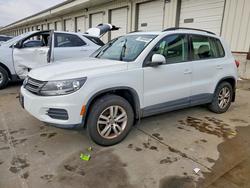 2016 Volkswagen Tiguan s en venta en Louisville, KY