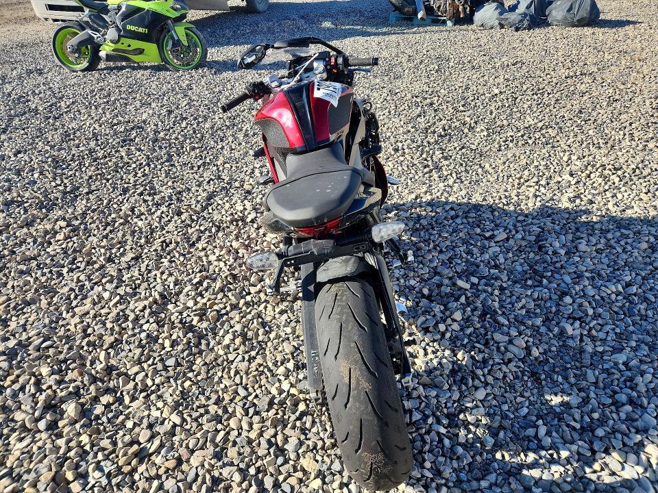 2025 Triumph Daytona 660