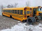2019 Blue Bird School Bus / Transit Bus