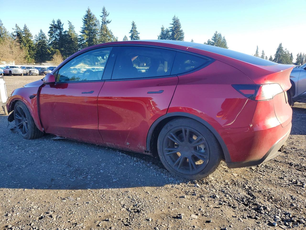 2024 Tesla Model y