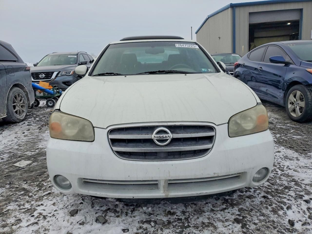 2003 Nissan Maxima gle