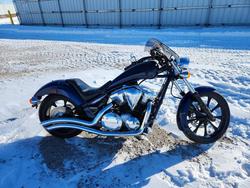 Honda vt Cycle salvage cars for sale: 2019 Honda VT1300 CX