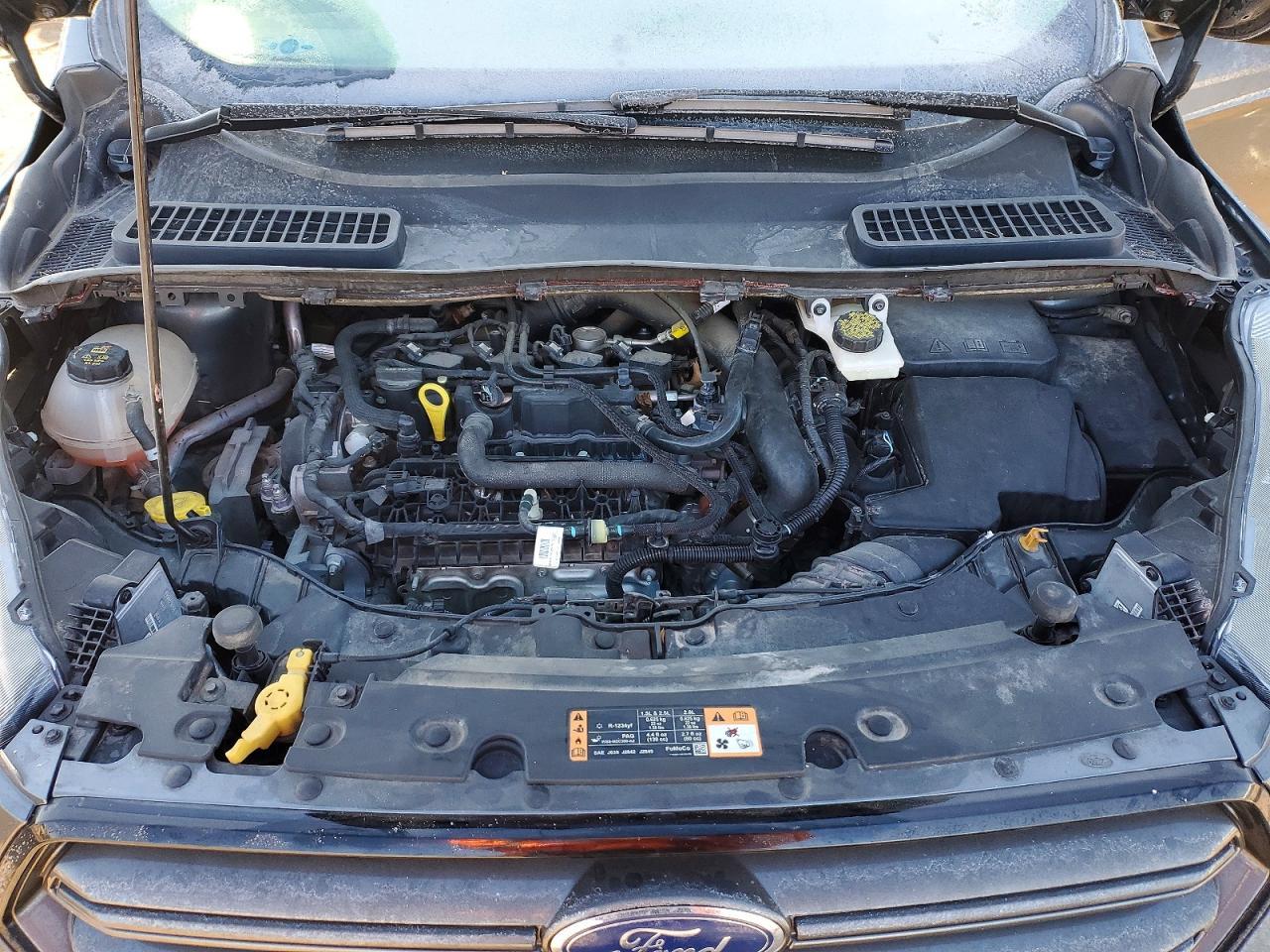 2019 Ford Escape sel