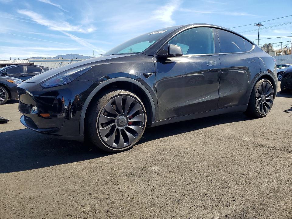 2021 Tesla Model y