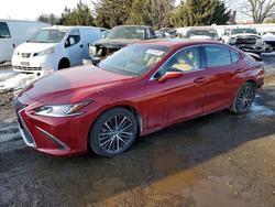 Lexus Es 350 salvage cars for sale: 2023 Lexus Es 350 Base